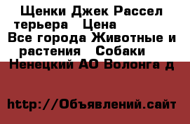 Щенки Джек Рассел терьера › Цена ­ 20 000 - Все города Животные и растения » Собаки   . Ненецкий АО,Волонга д.